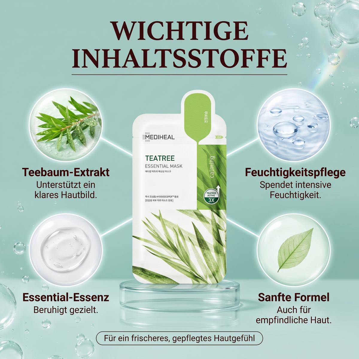 Wichtige Inhaltsstoffe – Teebaum-Extrakt