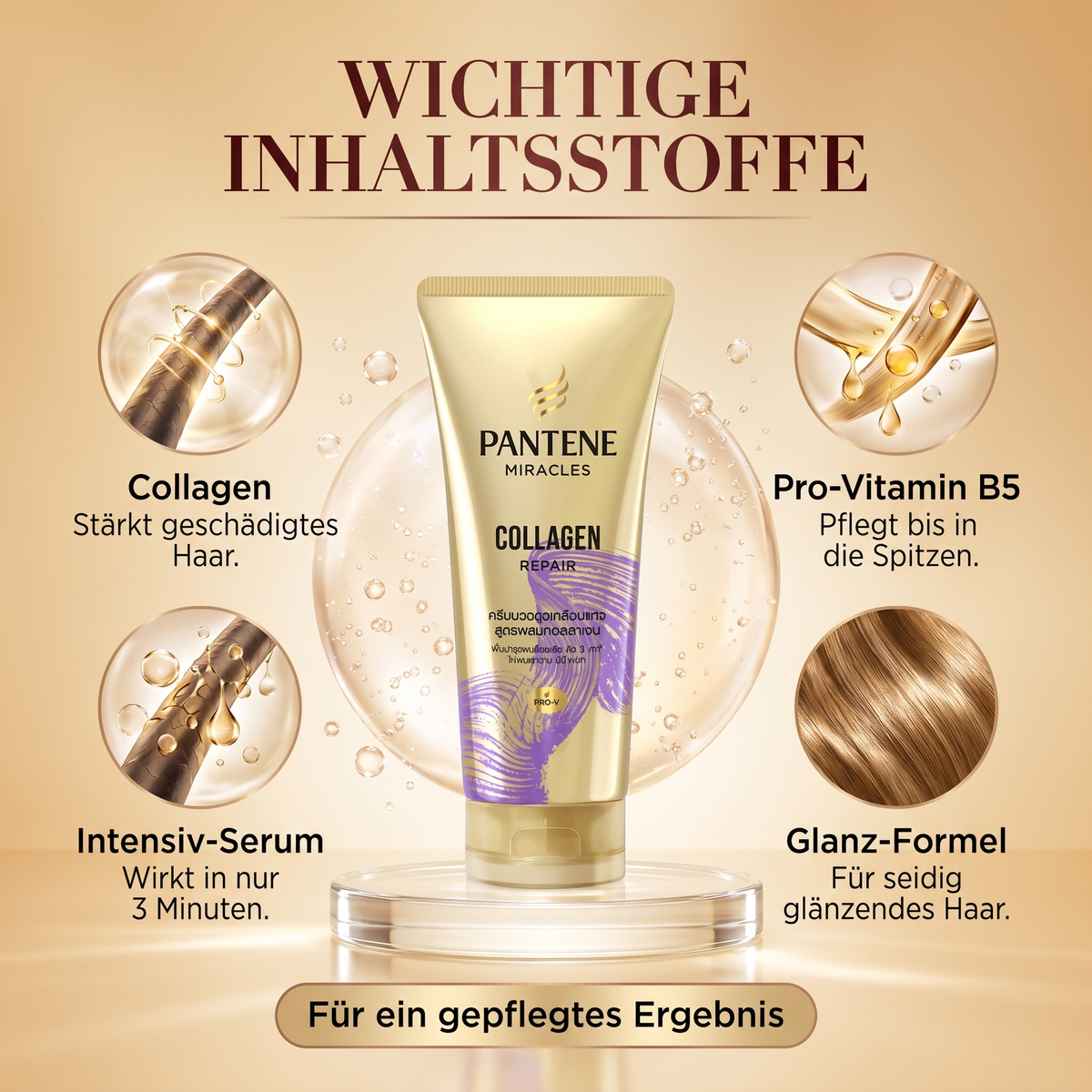 Wichtige Inhaltsstoffe – Collagen