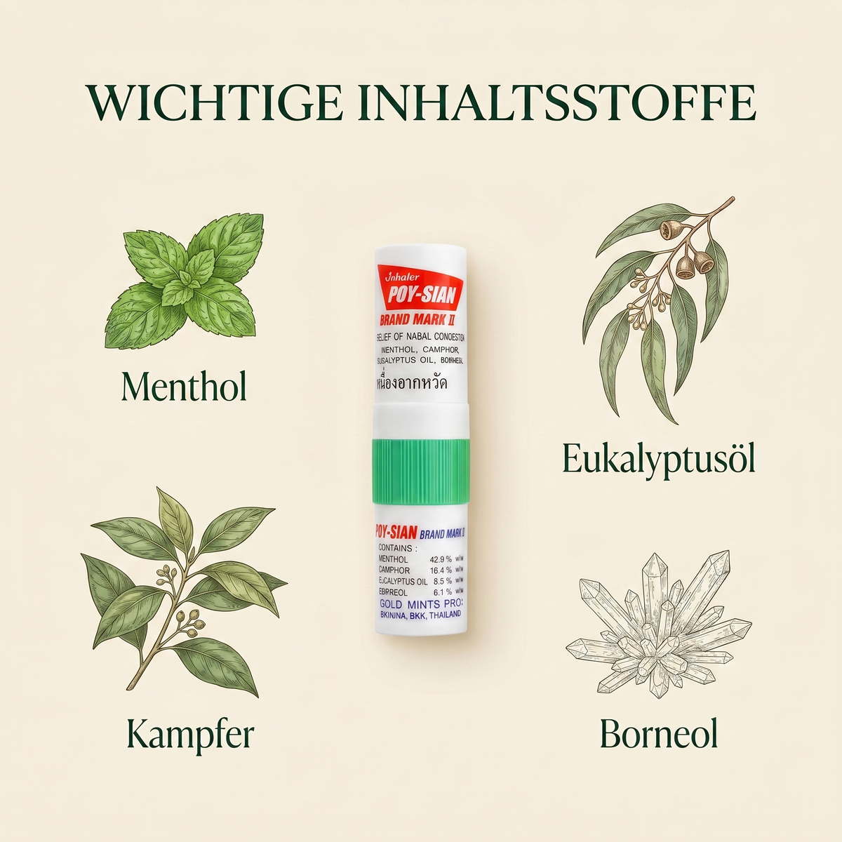 Wichtige Inhaltsstoffe